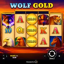 Roby - Wolf Gold Slot Game